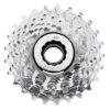 Campagnolo® Cassette Campagnolo Veloce -Tienda De Bicispasaje cassette campagnolo veloce