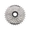 Cassette Shimano HG20/HG41 7V OEM -Tienda De Bicispasaje cassette shimano hg20hg41 7v oem